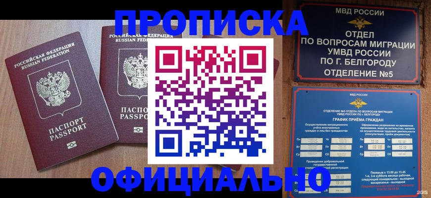 найти адрес прописки в Медвежьегорске